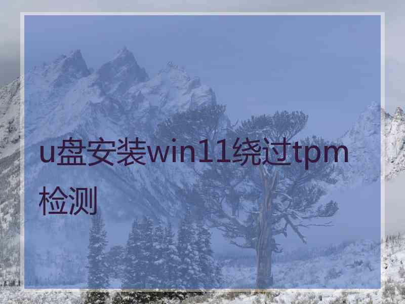 u盘安装win11绕过tpm检测