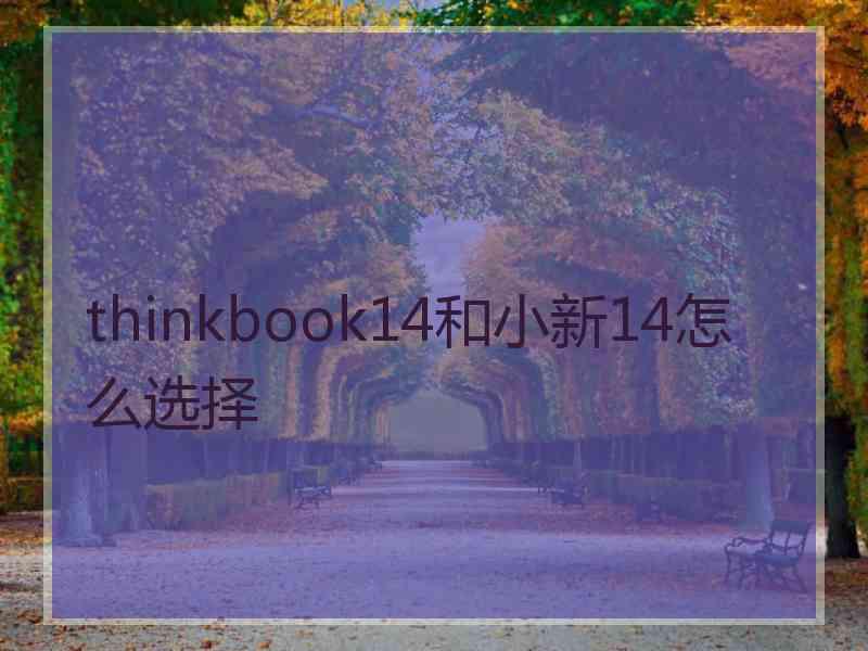 thinkbook14和小新14怎么选择