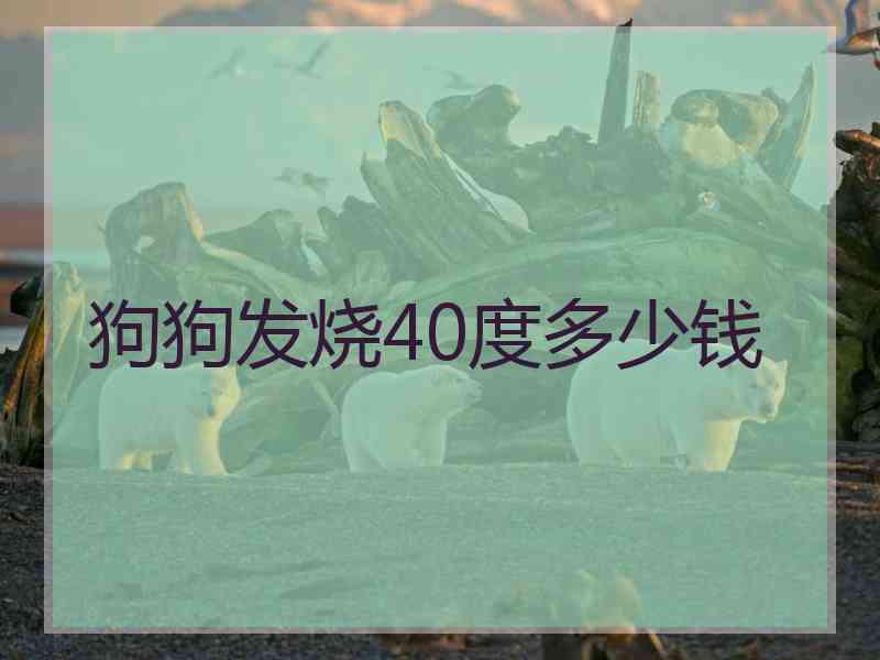 狗狗发烧40度多少钱