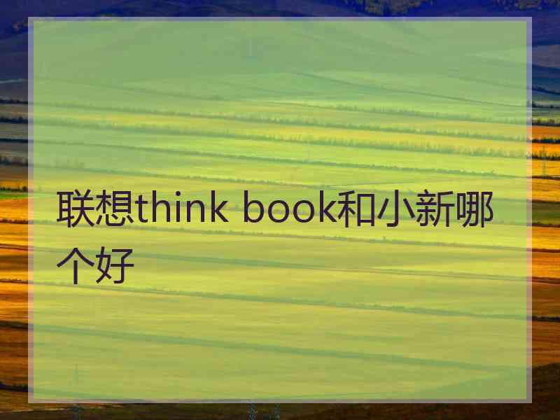 联想think book和小新哪个好