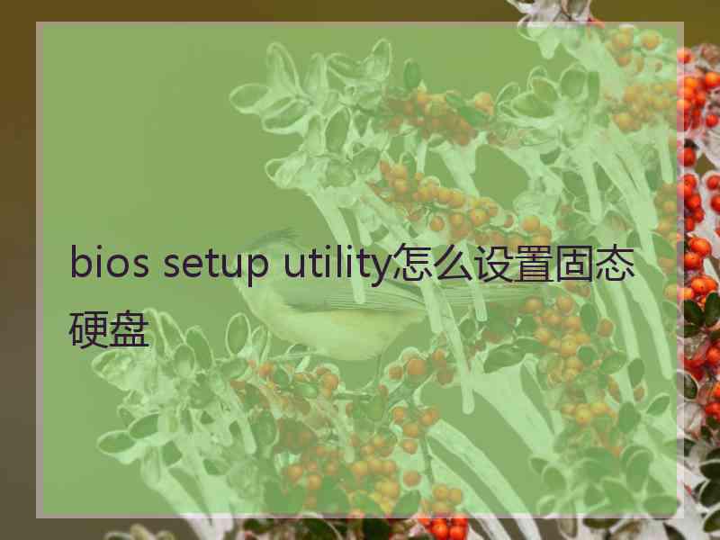 bios setup utility怎么设置固态硬盘