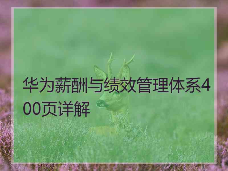 华为薪酬与绩效管理体系400页详解