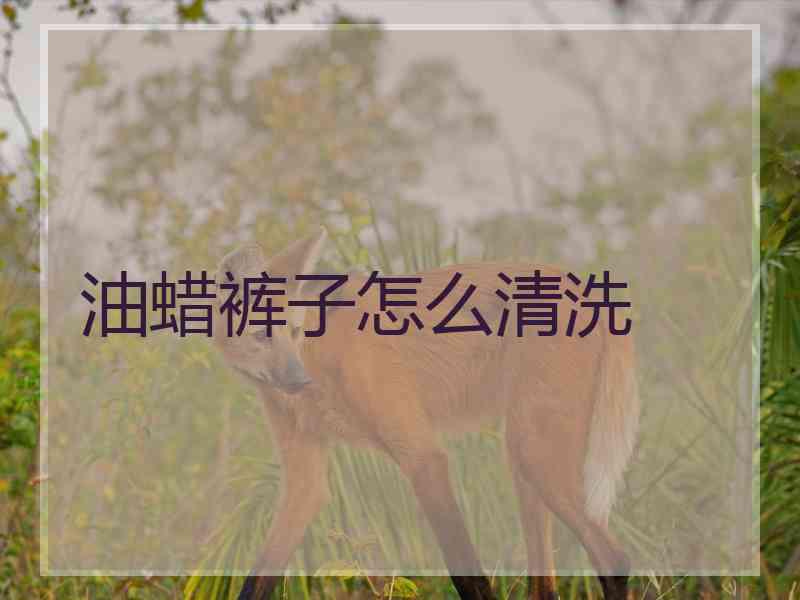 油蜡裤子怎么清洗