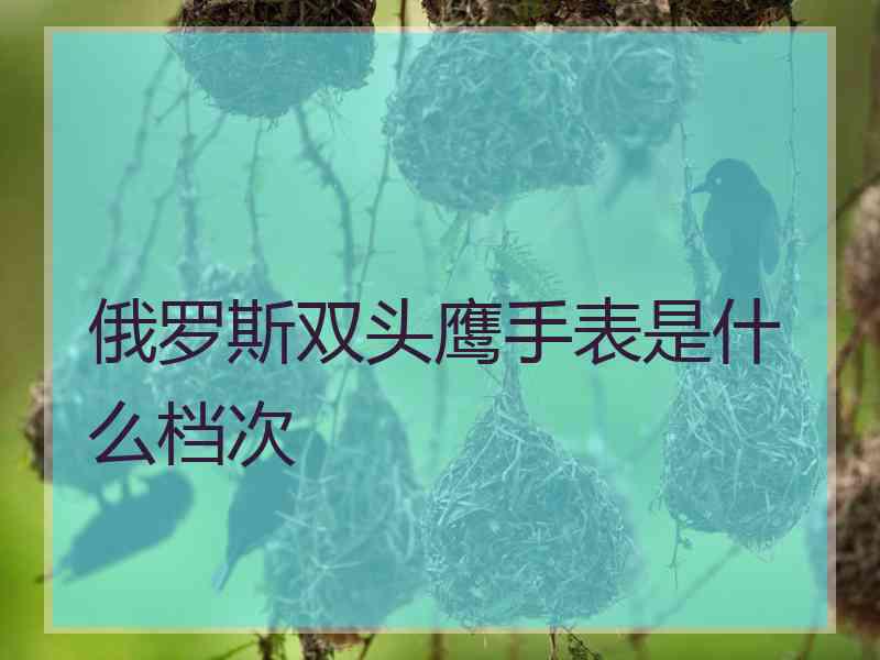 俄罗斯双头鹰手表是什么档次