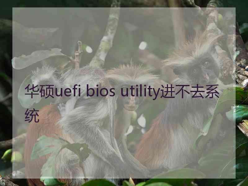 华硕uefi bios utility进不去系统