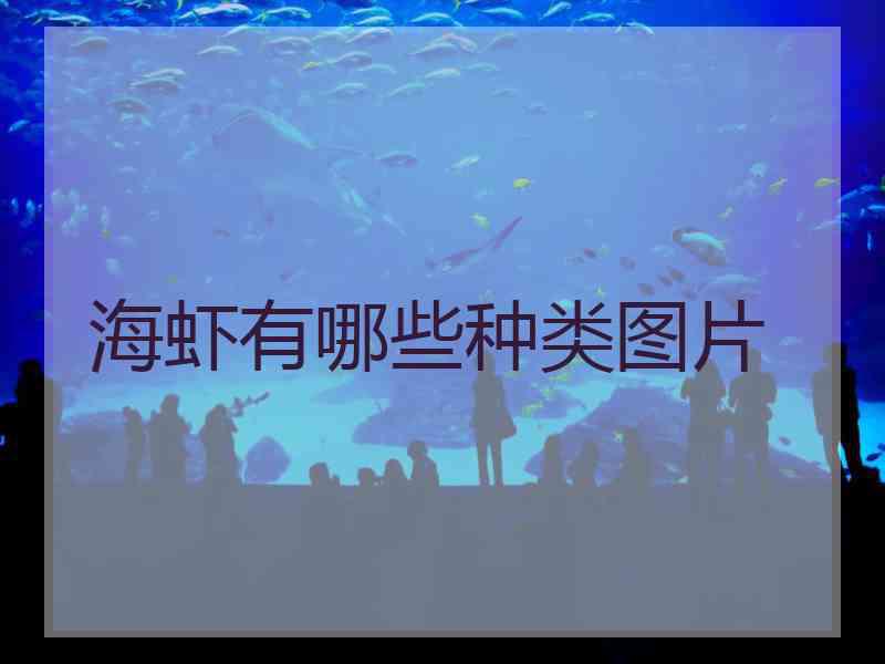 海虾有哪些种类图片