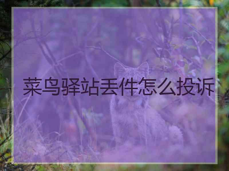 菜鸟驿站丢件怎么投诉