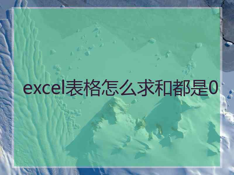 excel表格怎么求和都是0