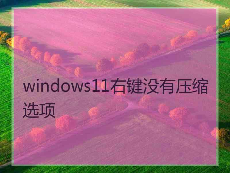 windows11右键没有压缩选项