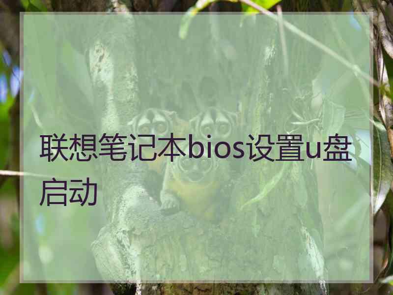 联想笔记本bios设置u盘启动