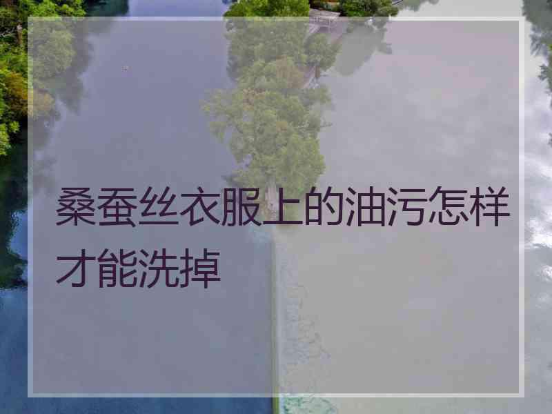 桑蚕丝衣服上的油污怎样才能洗掉