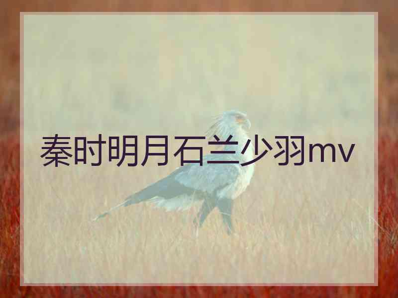 秦时明月石兰少羽mv