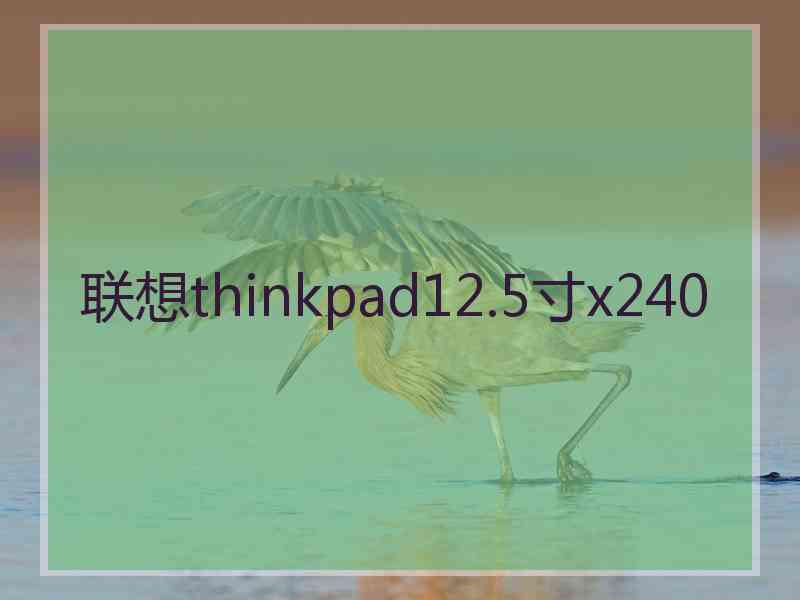 联想thinkpad12.5寸x240