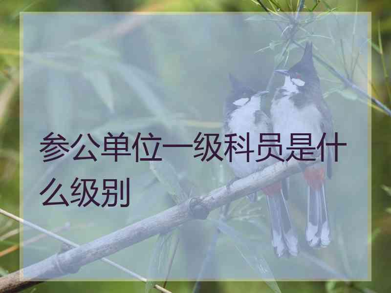 参公单位一级科员是什么级别