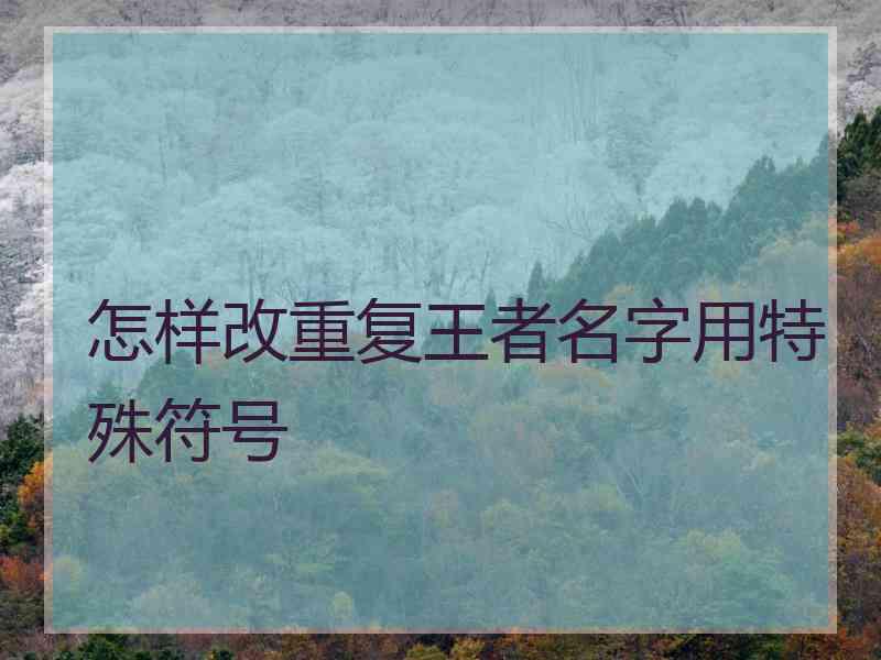 怎样改重复王者名字用特殊符号