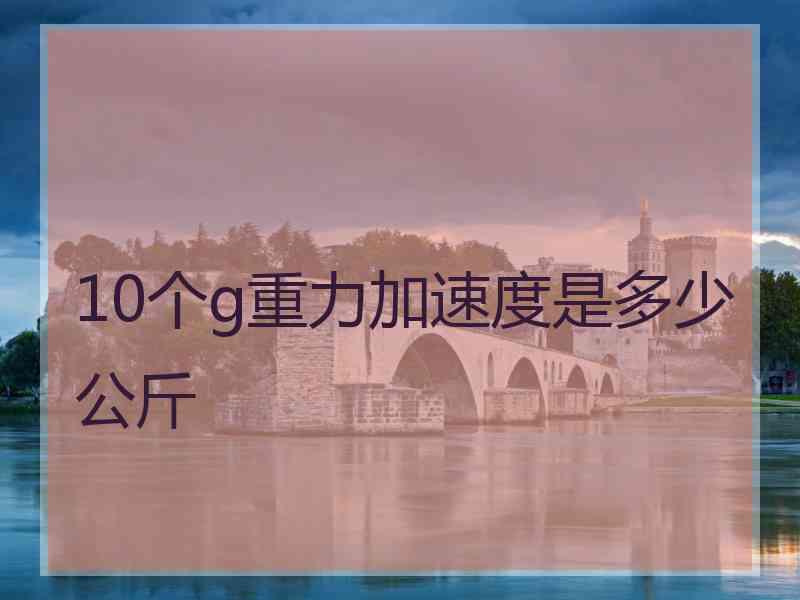 10个g重力加速度是多少公斤