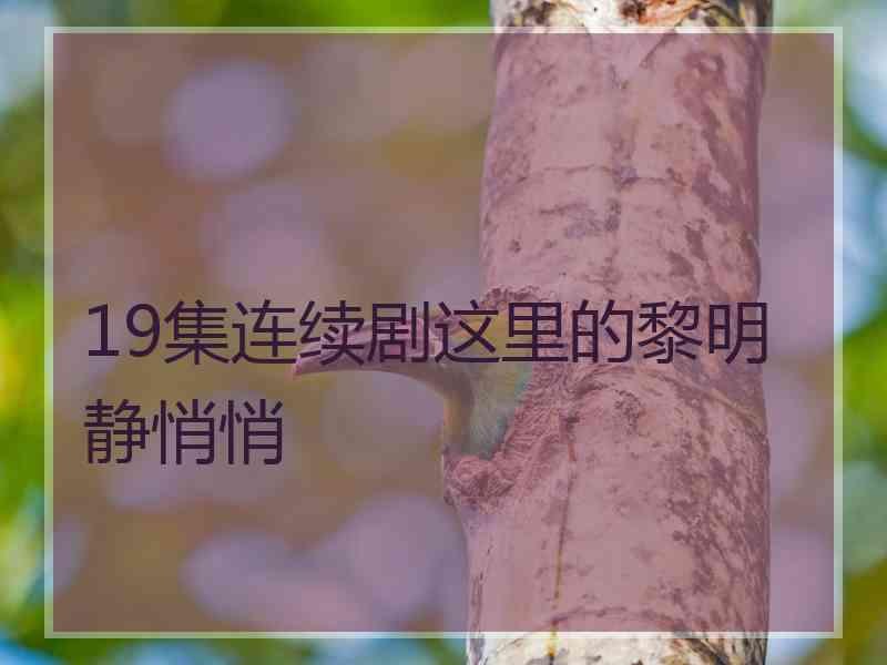 19集连续剧这里的黎明静悄悄