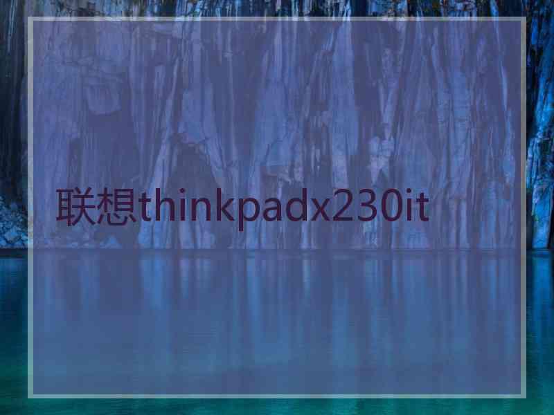 联想thinkpadx230it