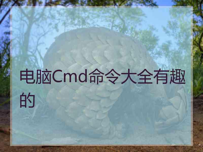 电脑Cmd命令大全有趣的