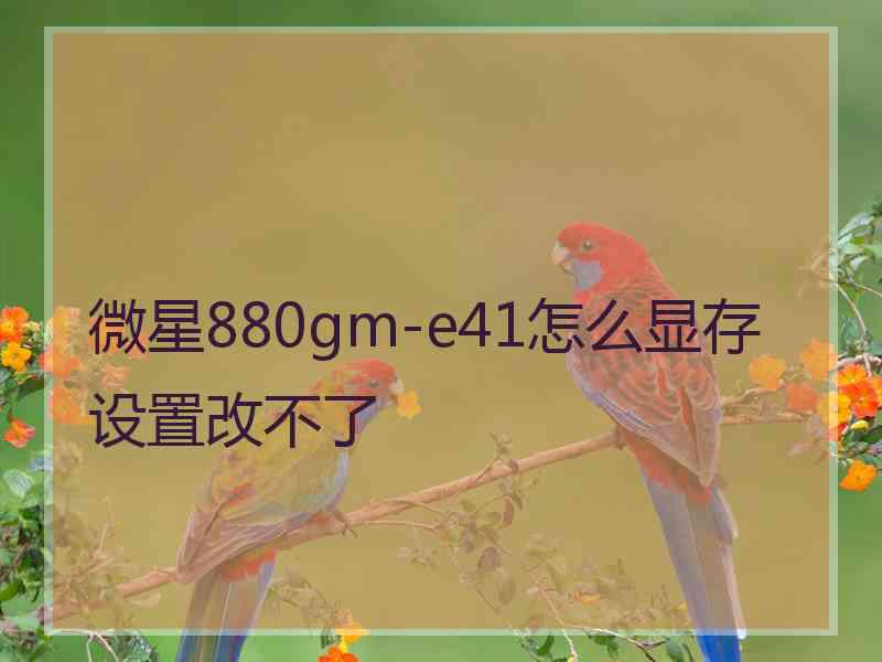 微星880gm-e41怎么显存设置改不了