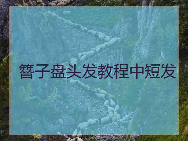 簪子盘头发教程中短发