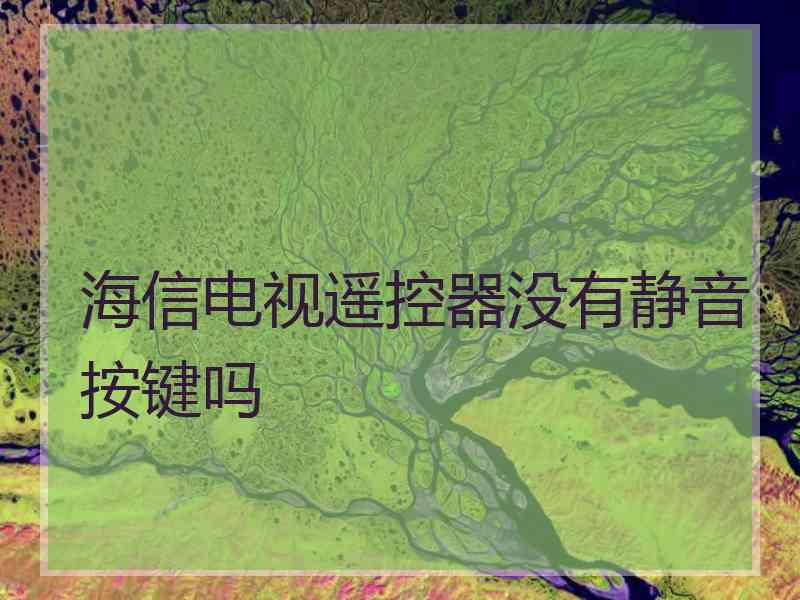 海信电视遥控器没有静音按键吗