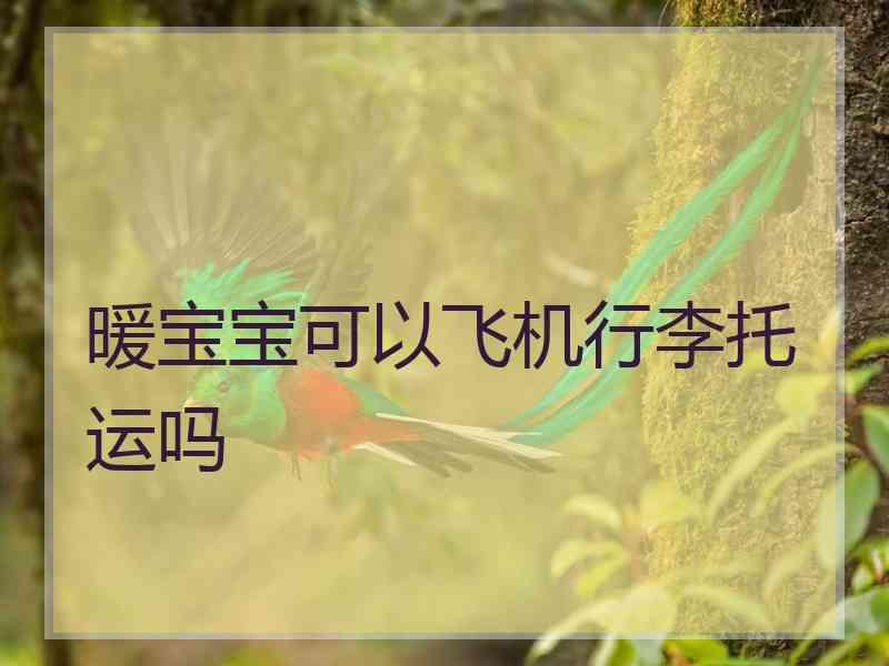 暖宝宝可以飞机行李托运吗