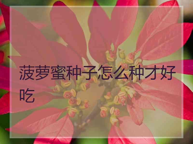 菠萝蜜种子怎么种才好吃