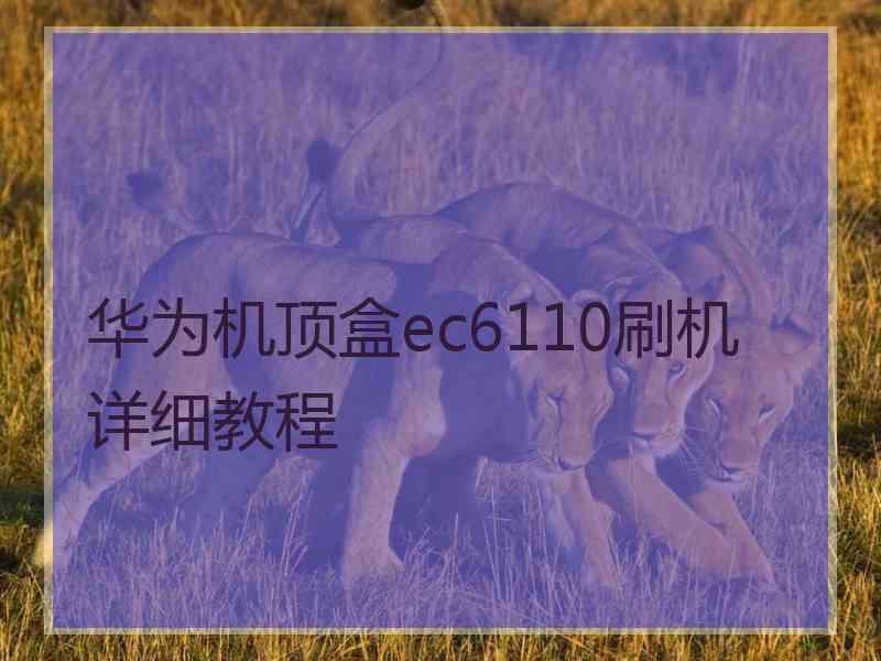 华为机顶盒ec6110刷机详细教程