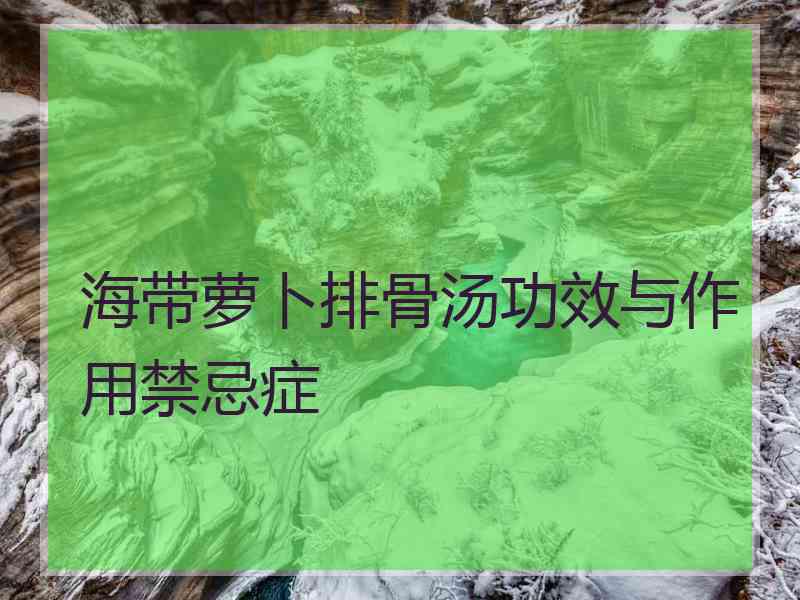 海带萝卜排骨汤功效与作用禁忌症