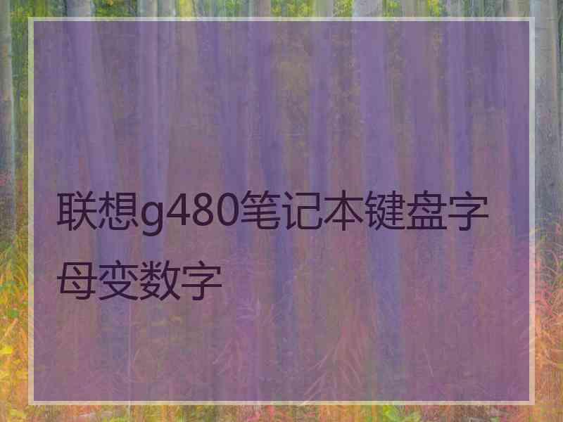 联想g480笔记本键盘字母变数字