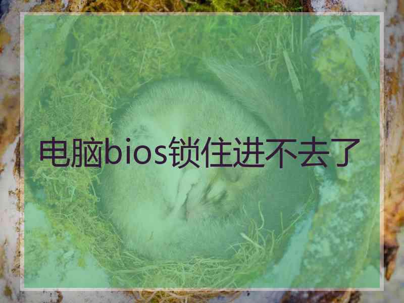 电脑bios锁住进不去了