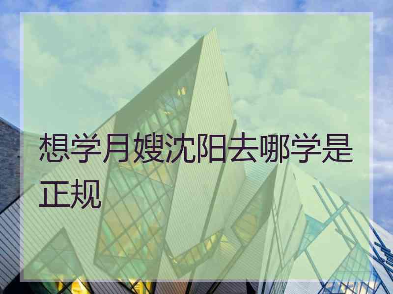 想学月嫂沈阳去哪学是正规