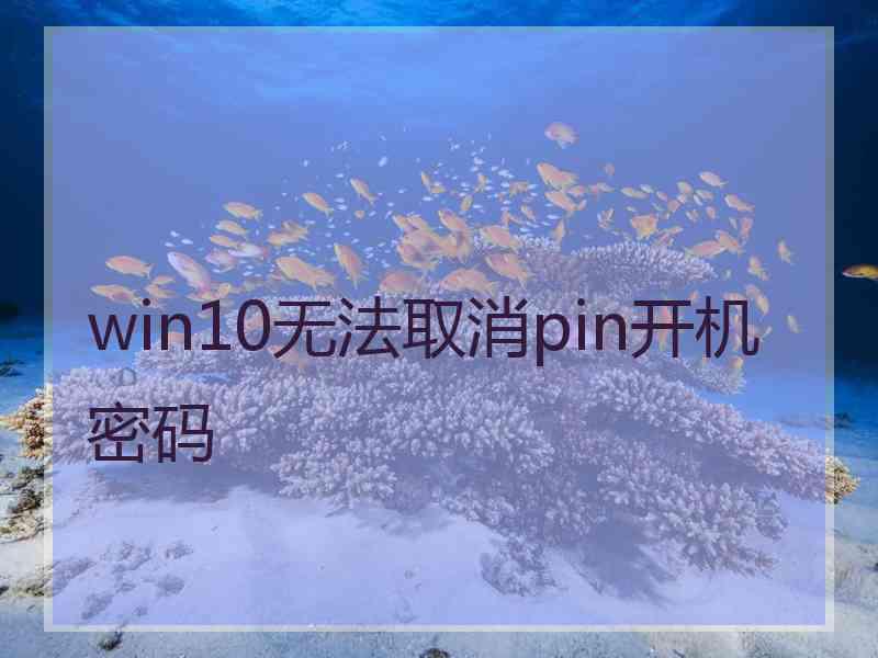 win10无法取消pin开机密码