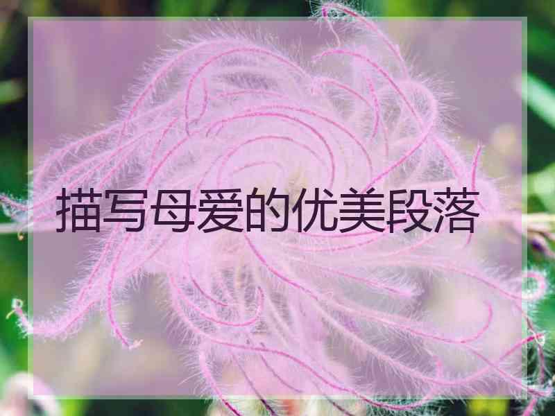 描写母爱的优美段落