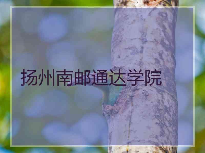 扬州南邮通达学院