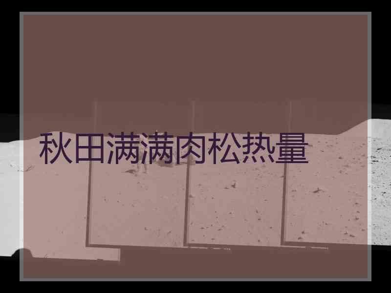 秋田满满肉松热量