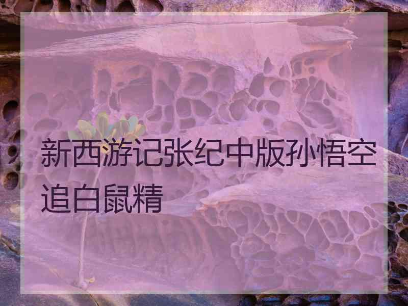 新西游记张纪中版孙悟空追白鼠精