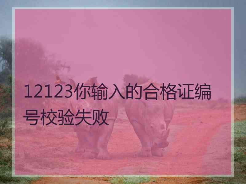 12123你输入的合格证编号校验失败