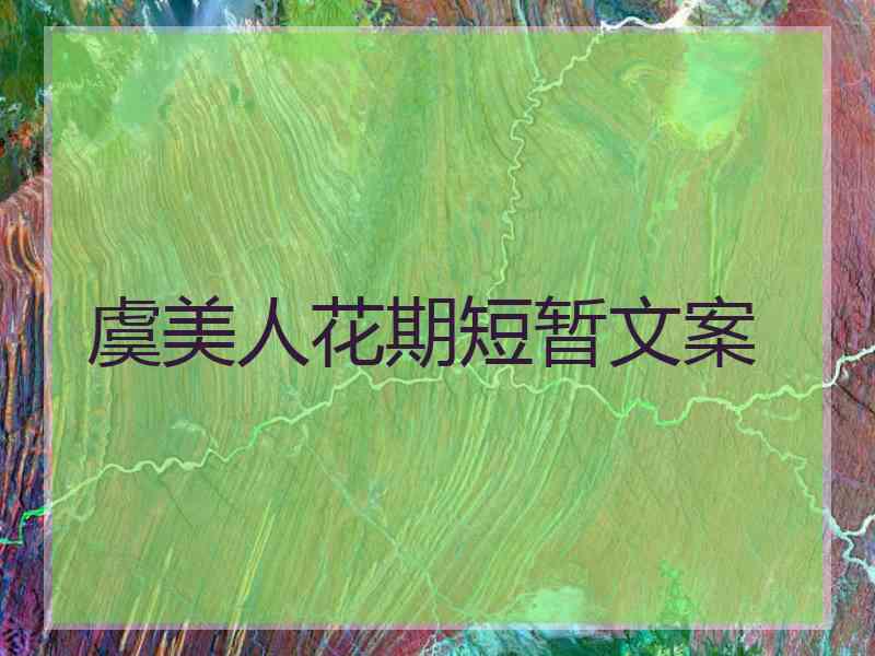 虞美人花期短暂文案