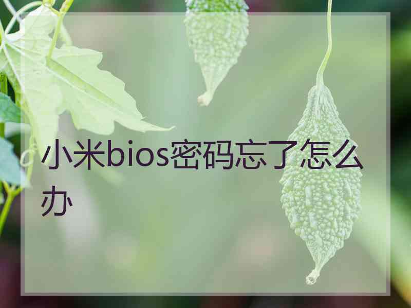 小米bios密码忘了怎么办