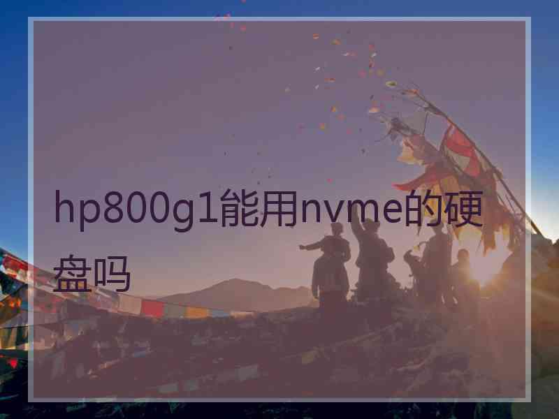 hp800g1能用nvme的硬盘吗