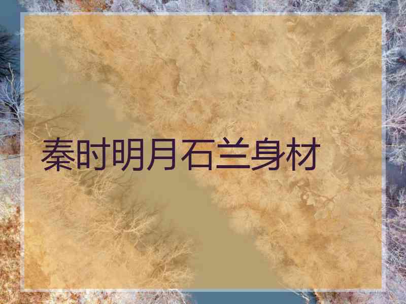 秦时明月石兰身材