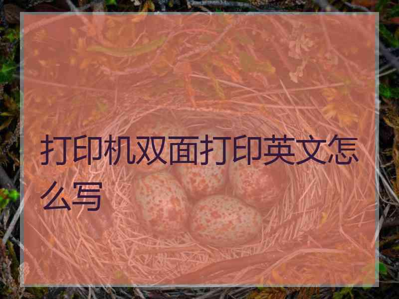 打印机双面打印英文怎么写