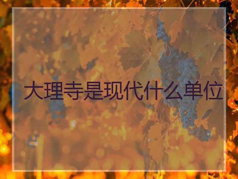 大理寺是现代什么单位