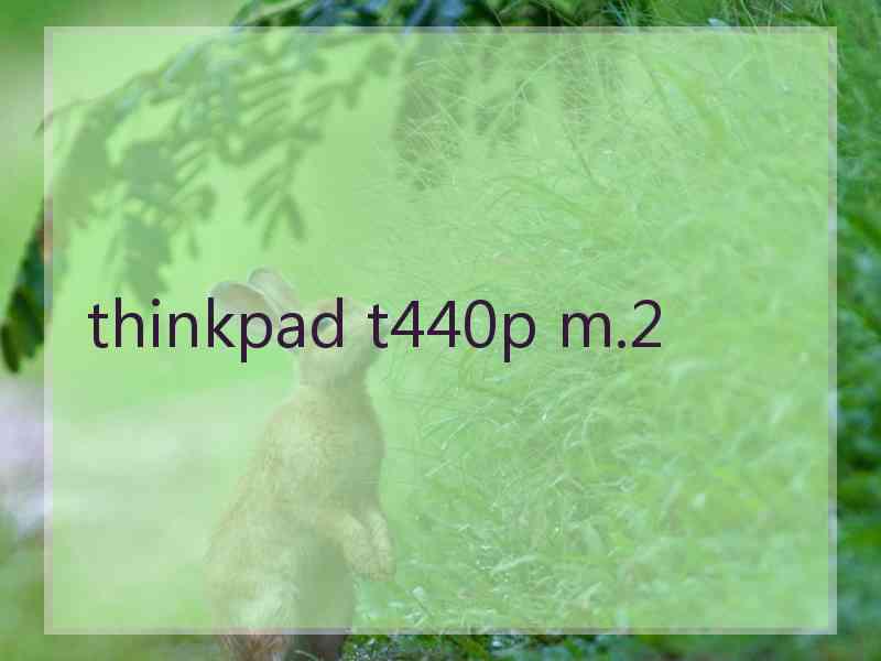 thinkpad t440p m.2