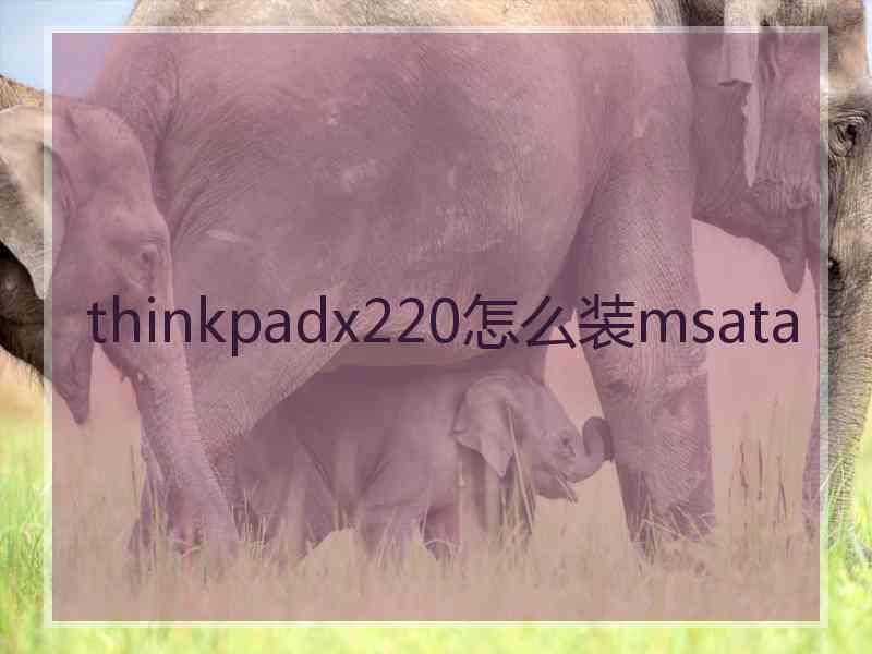 thinkpadx220怎么装msata