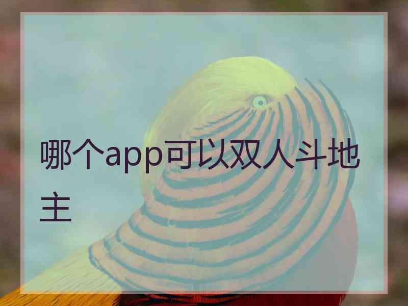 哪个app可以双人斗地主