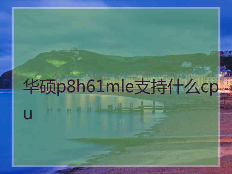 华硕p8h61mle支持什么cpu