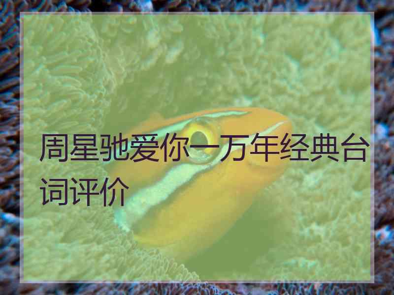 周星驰爱你一万年经典台词评价